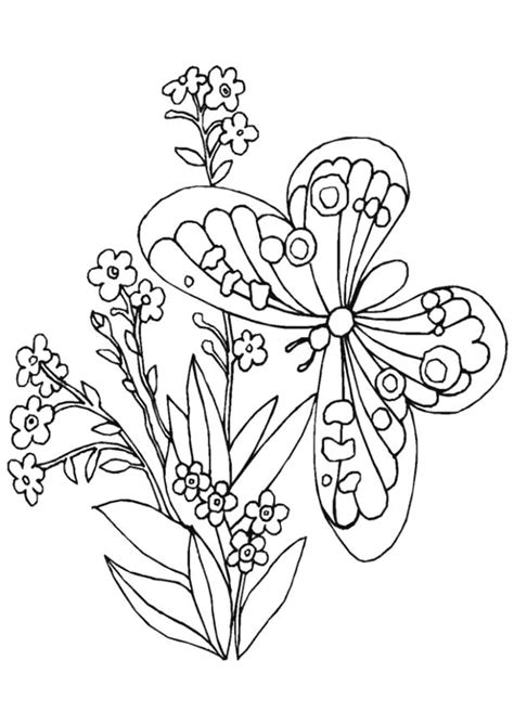 Coloriage Papillon Fleur